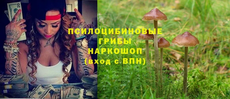 shop официальный сайт  Починок  Псилоцибиновые грибы Magic Shrooms  даркнет сайт 